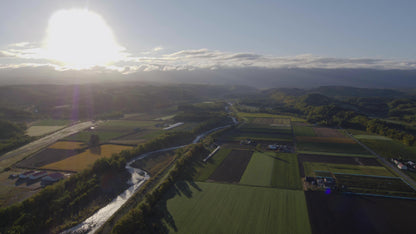 【4k】朝の田園